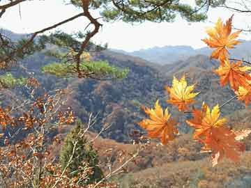 毕节金海湖区最新动态